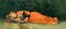 The New Novel Poster Print by Winslow Homer - Item # VARPDX373285
